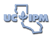 ipm
